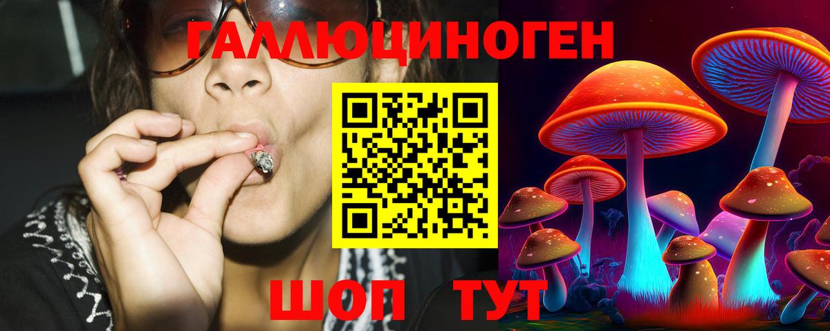 Галлюциногенные грибы мухоморы Калач-на-Дону